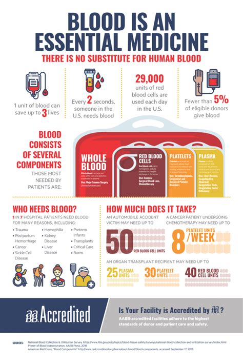 aabb blood donor requirements